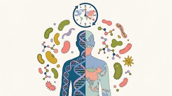 Genética, lugar de residencia y edad biológica: el vínculo que reveló una investigación internacional
