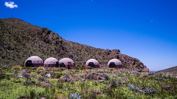 El Financial Times destacó la finca en Mendoza en la que CEOs de empresas tecnológicas planean enfrentar un posible “apocalipsis”
