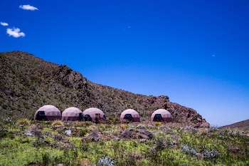 Amplio valle verde con colinas en el fondo, un arroyo serpentea y un rebaño de vacas de distintos colores con terneros pastorea