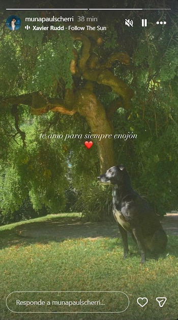 La hija de Agustina Cherri y Gastón Pauls reveló el profundo vínculo afectivo con Groucho, su mascota