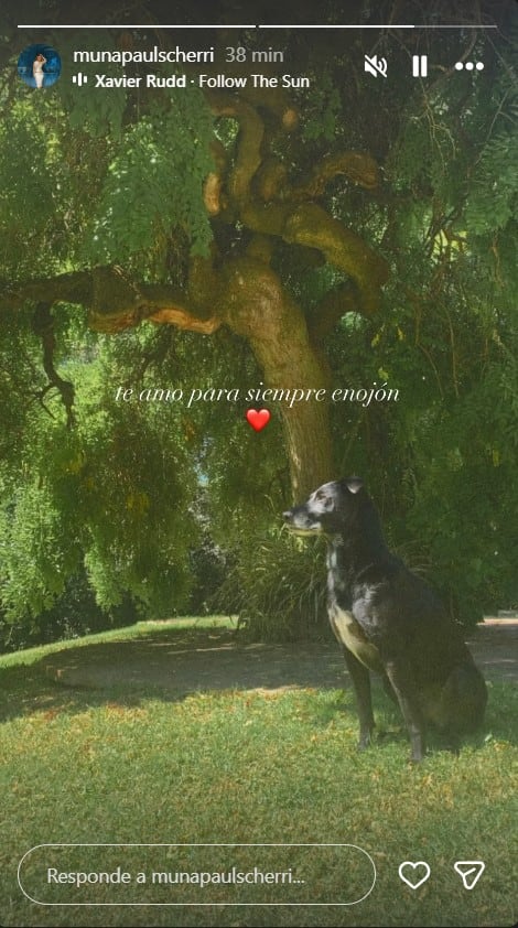 La hija de Agustina Cherri y Gastón Pauls reveló el profundo vínculo afectivo con Groucho, su mascota