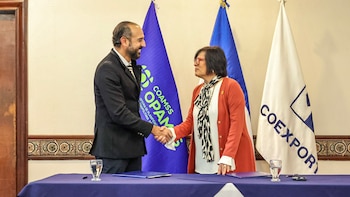 El director de OPAMSS y