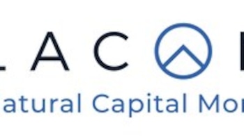 Laconic y el Estado Plurinacional