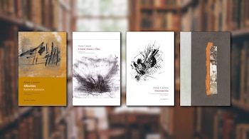 Cuatro cubiertas de libros dispuestas en fila sobre el fondo desenfocado de una biblioteca con estantes llenos de libros.