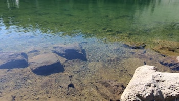 Cómo funciona el innovador método