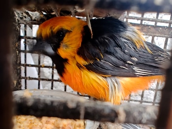 El organismo federal resaltó también la relevancia de los productores del campo mexicano
