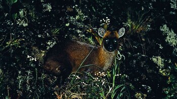 Este día quedó marcado por