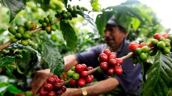 Ya está en marcha la