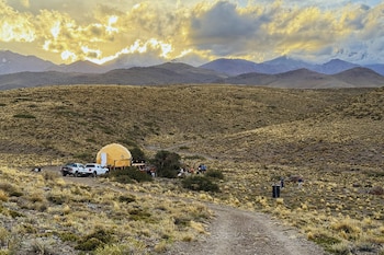 Amplio valle verde con colinas en el fondo, un arroyo serpentea y un rebaño de vacas de distintos colores con terneros pastorea