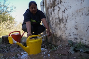 Aunque en sus inicios la comunidad de Vinalito basó su subsistencia en la explotación del monte mediante la agricultura y la cría de cerdos, vacas y cabras, en los últimos años decidió priorizar la recuperación del bosque nativo degradado
