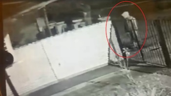 Delincuentes robaron una casa en La Plata tras forzar la reja mientras sus dueños no estaban