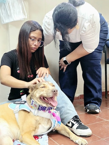 El Departamento de Medicina Veterinaria de la UES impulsa una intervención asistida con perros para estrés académico (Foto cortesía Facultad de Ciencias Agronómicas)