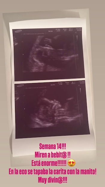 "¡Semana 14! ¡Miren a bebit@!