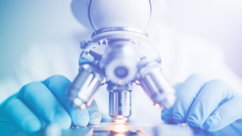 España tiene un papel relevante