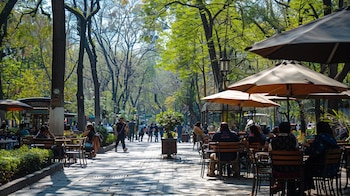 La jornada se perfila sin