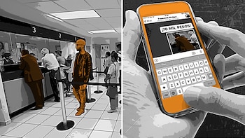 Guía para conocer cómo actúan