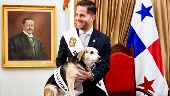 Tina es la mascota del