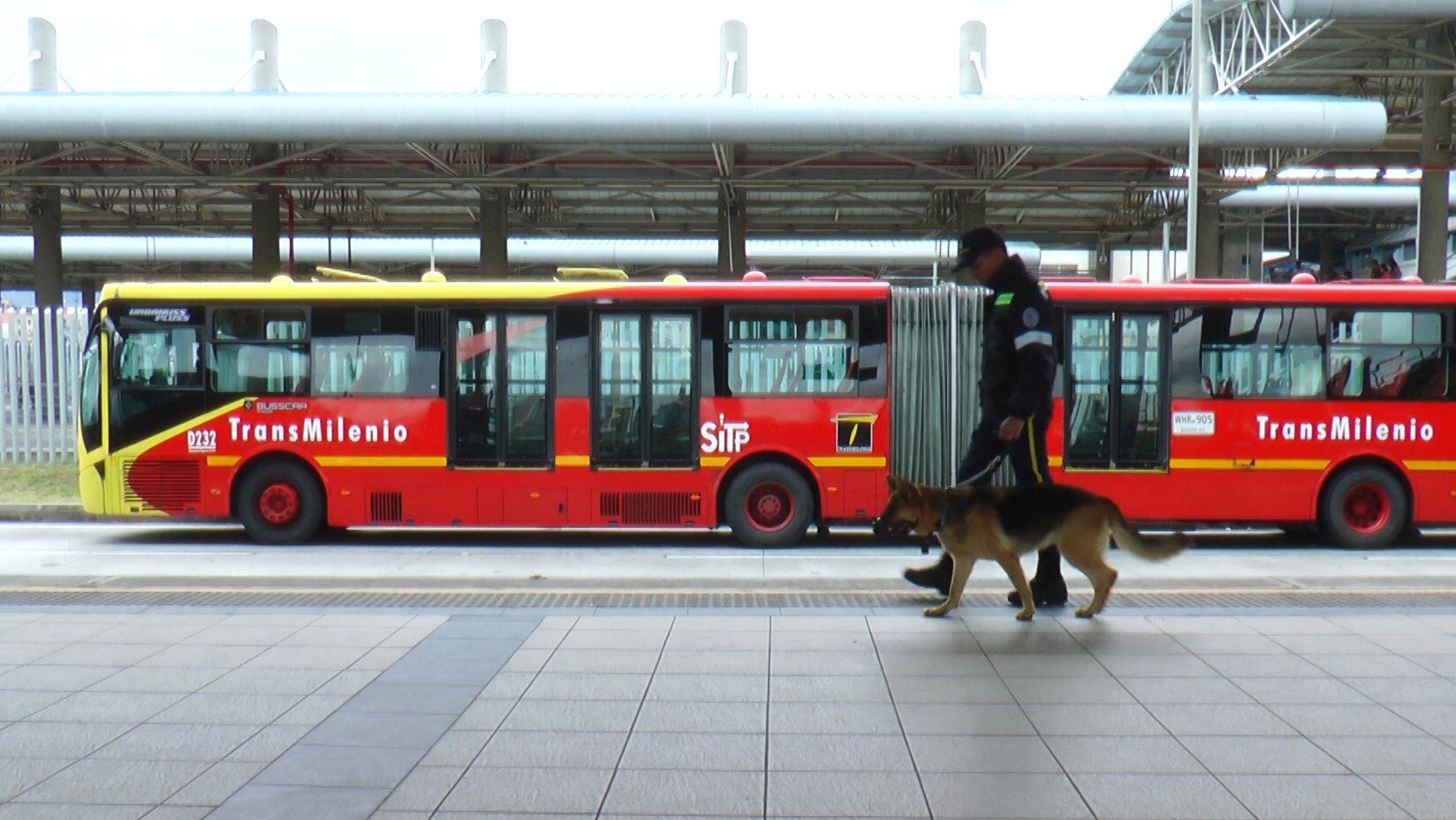 Ingresar o salir de estaciones y portales por lugares no autorizados concentra el mayor número de comparendos registrados este año - crédito @TransMilenio / X