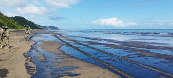 El petróleo afectó a la