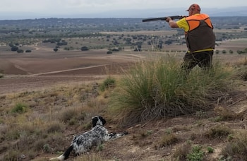 Un cazador en un coto de Madrid (Foto: Federación Madrileña de Caza)
