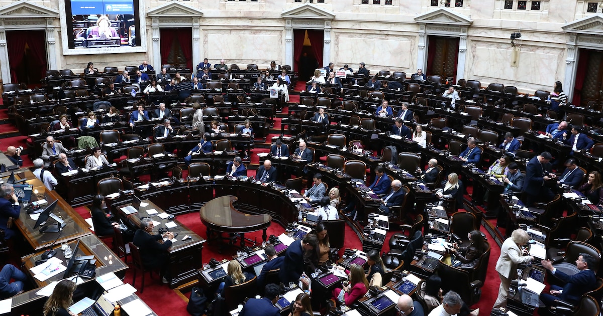 ALERTA EN EL CONGRESO: Oposición se fortalece ante el Gobierno