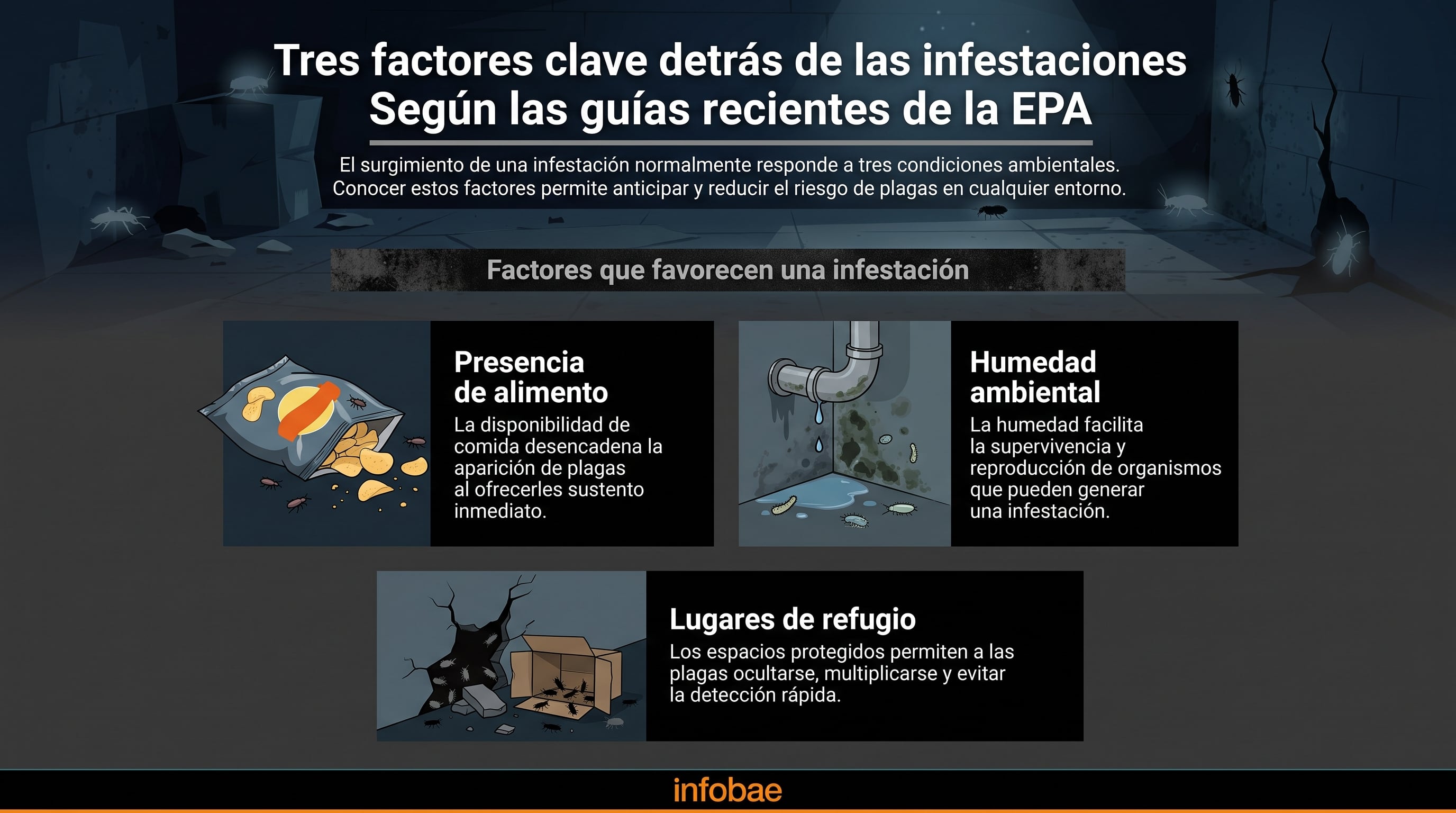 Factores ambientales para infestaciones de plagas según la EPA. (Imagen Ilustrativa Infobae)