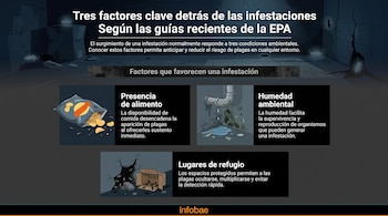 Infografía con título y texto. Tres ilustraciones: paquete de papas fritas, tubería goteando con moho, caja de cartón y grietas. Varios insectos.