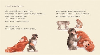 Dos páginas de un libro abierto con texto japonés e ilustraciones de un pequeño mono con un peluche de orangután y otros simios