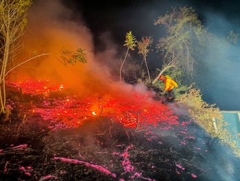 La Unión registró otro incendio en San Alejo, donde las llamas avanzaron sobre maleza seca y hojarasca en la calle Los Jiotes. (Foto cortesía Bomberos El Salvador)