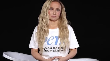 El último proyecto de Hayden Panettiere: una campaña de PETA para liberar a los delfines y las ballenas de los parques marinos
