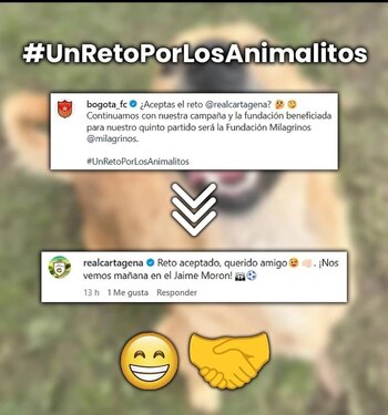 Un reto por los animalitos