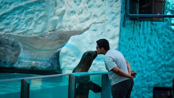 Día de la Familia Peruana: Actividades en diversos parques de Lima hasta este domingo 13 de setiembre