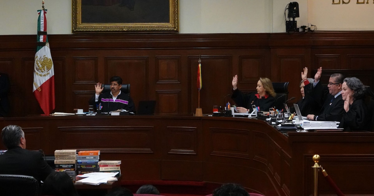 La Corte protege el lenguaje inclusivo sin borrar las reglas del español