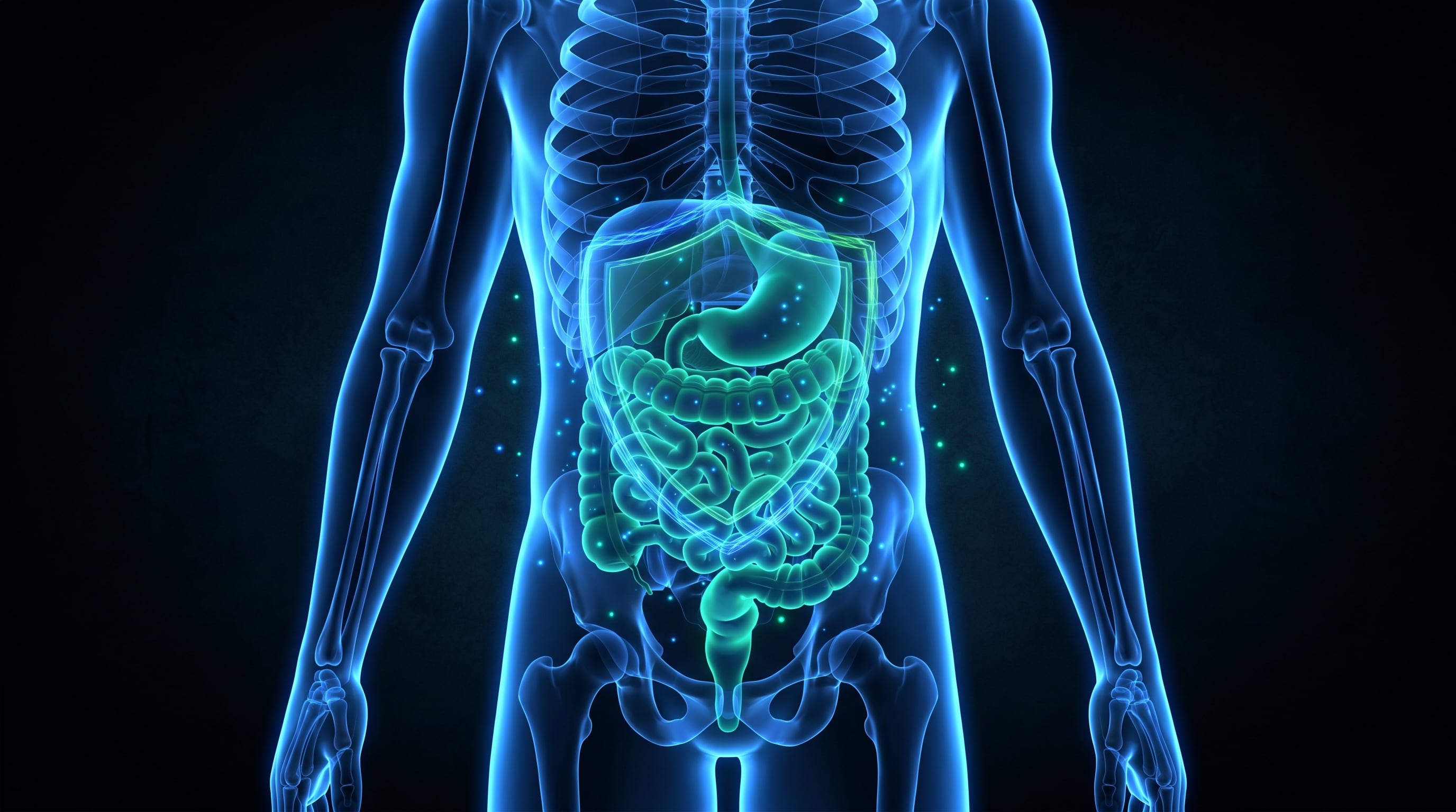 Lo que se come en las primeras horas del día define cómo responde el cuerpo durante el resto de la jornada. (Imagen Ilustrativa Infobae)