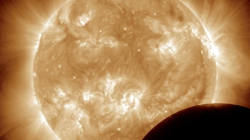 Conoce el calendario de la