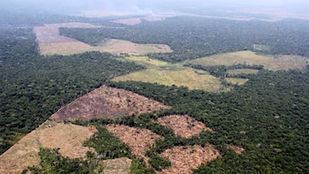 El informe que revela aquel