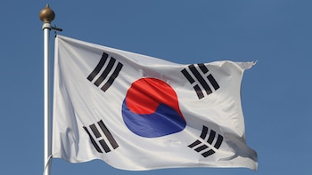 Corea del Sur y el Mando de la ONU investigan una explosión de mina en la zona desmilitarizada