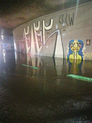 Varias de las alcaldías sufrieron