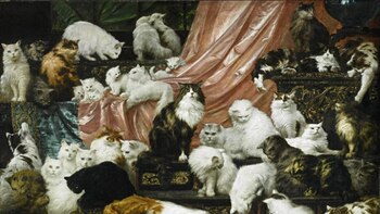 La belleza de la semana: