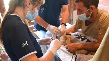 El momento de la revisión