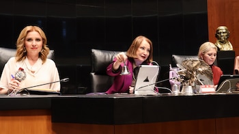 Tercera Sesión Extraordinaria de la Cámara de Senadores, del 28 de mayo de 2026.