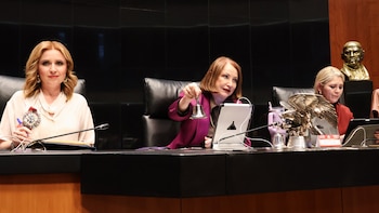 Senado aprueba reforma para anular elecciones por intervención extranjera