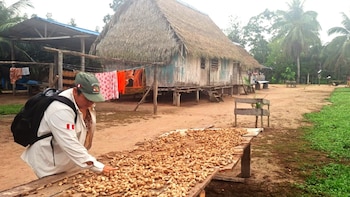 Cacao nativo, liderazgo femenino y