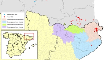 Localización de los focos confirmados