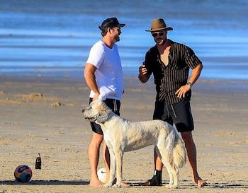 Celebrities-en-un-clic-Chris-Hemsworth-06102020