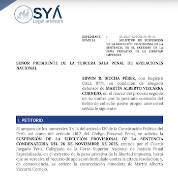 Solicitud de Martín Vizcarra