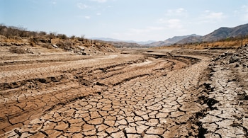 Terreno de arcilla seca y agrietada en el cauce de un río sin agua, con arbustos sin hojas y colinas al fondo.