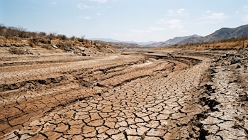 En 2025, cayeron un 42% las reservas mundiales de agua dulce y se ubicaron por debajo de los promedios históricos