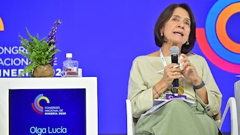 Colombianos tendrán que pagar más impuestos para cubrir el déficit fiscal durante el gobierno de Abelardo de la Espriella, advirtió la codirectora del Banco de la República