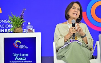 Olga Lucía Acosta, codirectora del Banco de la República, advirtió que Colombia tendrá que pagar más impuestos para cerrar el hueco fiscal - crédito @acmineriacol/X